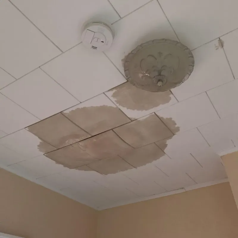 Ceiling Water Damage Repair in Dooms, VA