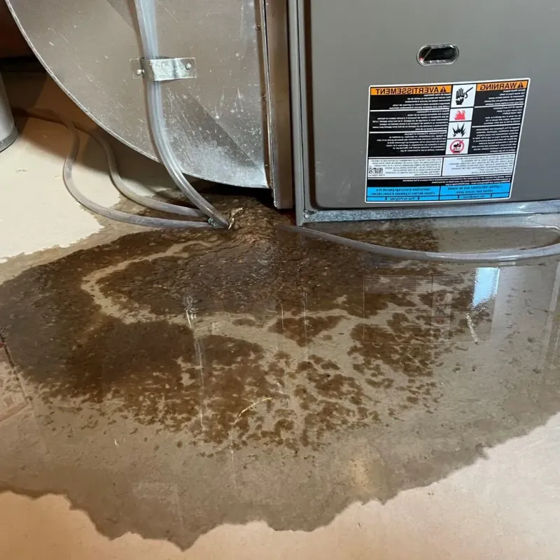 Pipe Burst and Leak Restoration in Dooms, VA