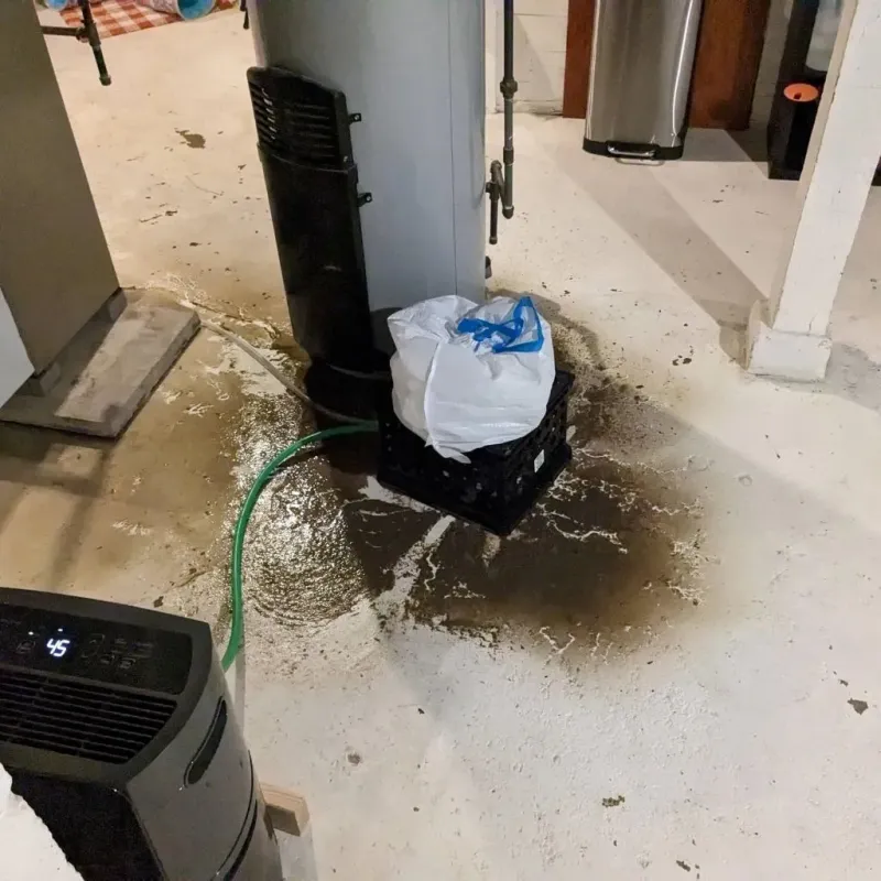 Sewage Backup Cleanup Service in Dooms, VA